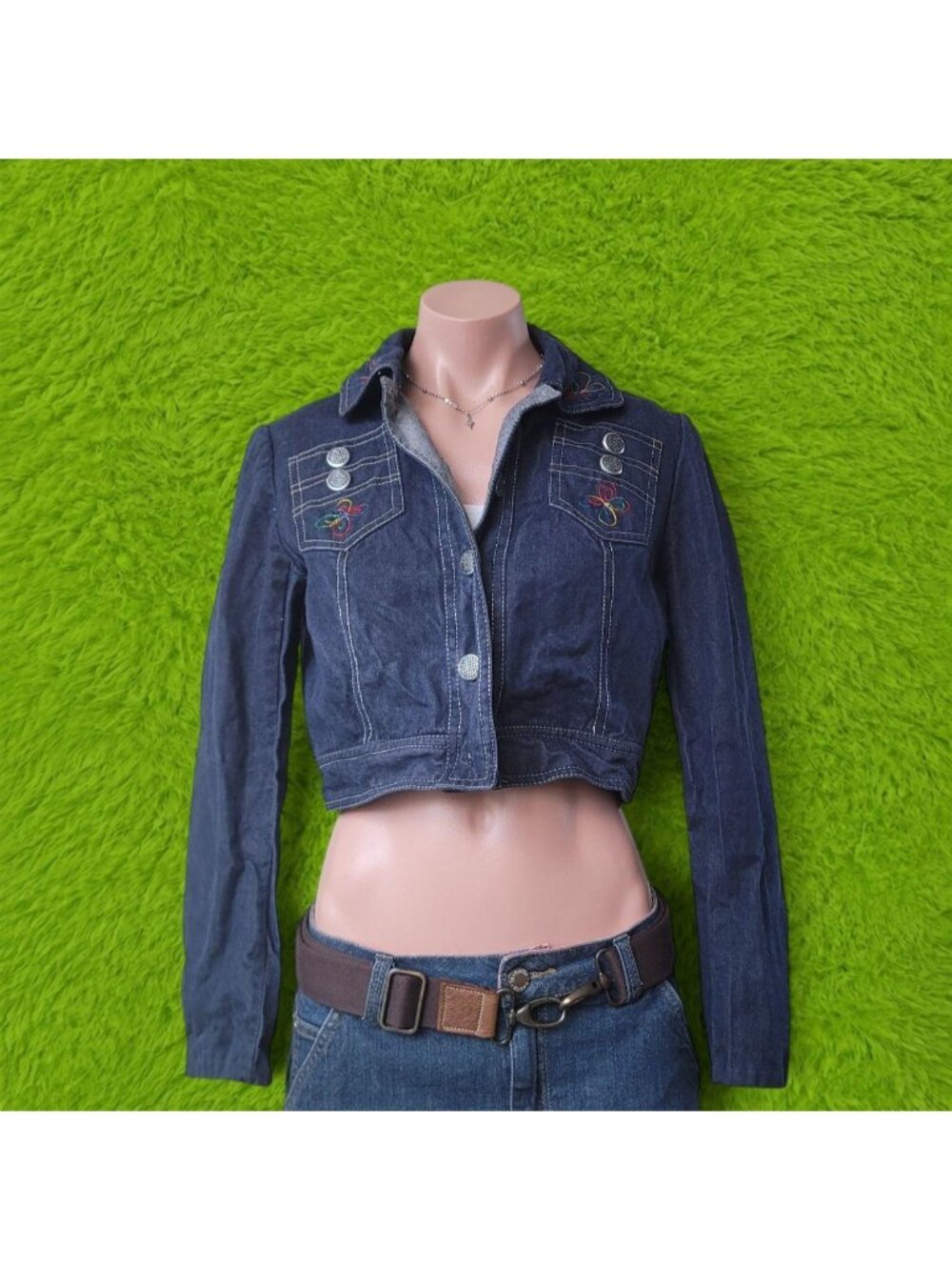 Leon Green Colorful Folk Embroidery Cropped Button Denim Jacket (14)